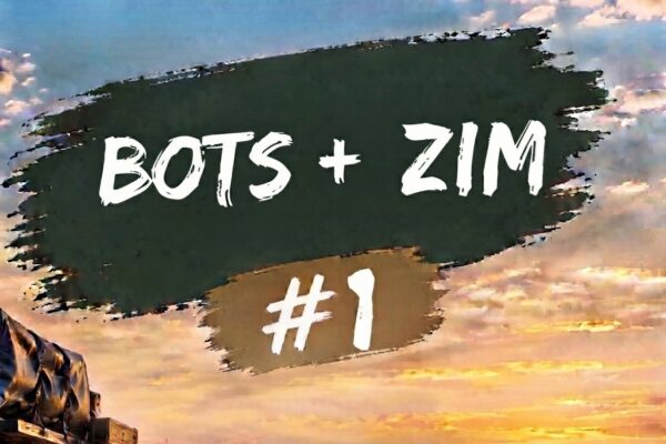 Botswana & Zimbabwe #1